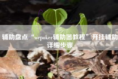 辅助盘点“wepoker辅助器教程	”开挂辅助详细步骤