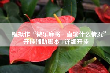 一键操作“微乐麻将一直输什么情况”开挂辅助脚本+详细开挂