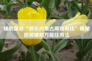 辅助盘点“微乐内蒙古麻将有挂”揭秘透视辅助万能挂用法