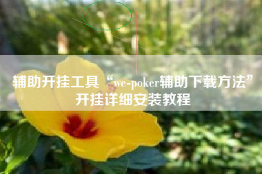辅助开挂工具“we-poker辅助下载方法	”开挂详细安装教程