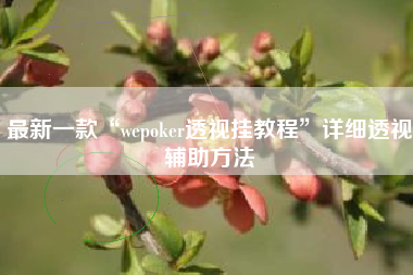 最新一款“wepoker透视挂教程”详细透视辅助方法