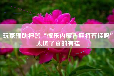 玩家辅助神器“微乐内蒙古麻将有挂吗	”太坑了真的有挂