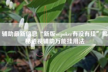 辅助最新信息“新版wepoker有没有挂”揭秘透视辅助万能挂用法