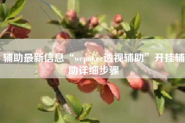 辅助最新信息“wepoker透视辅助”开挂辅助详细步骤