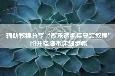 辅助教程分享“微乐透视挂安装教程”附开挂脚本详细步骤