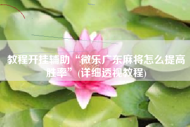 教程开挂辅助“微乐广东麻将怎么提高胜率”(详细透视教程)