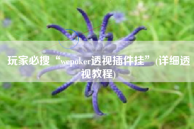 玩家必搜“wepoker透视插件挂”(详细透视教程)