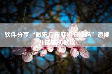 软件分享“微乐广东麻将有挂吗”透视开挂辅助教程