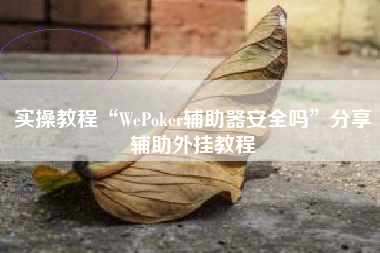 实操教程“WePoker辅助器安全吗”分享辅助外挂教程