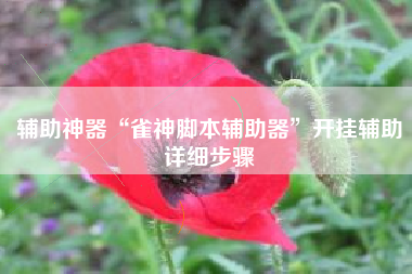 辅助神器“雀神脚本辅助器”开挂辅助详细步骤