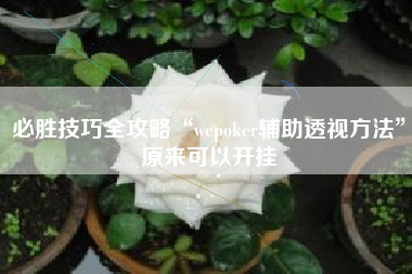必胜技巧全攻略“wepoker辅助透视方法	”原来可以开挂