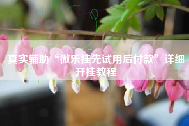 真实辅助“微乐挂先试用后付款”详细开挂教程