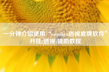 一分钟介绍使用“wepoker透视底牌软件”开挂(透视)辅助教程