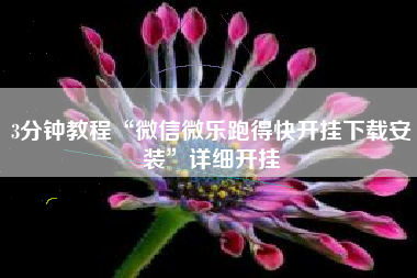 3分钟教程“微信微乐跑得快开挂下载安装”详细开挂