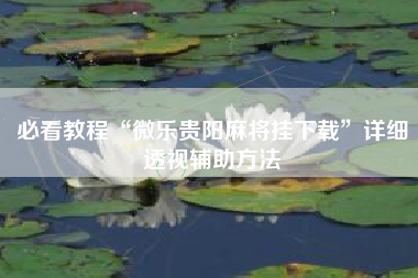 必看教程“微乐贵阳麻将挂下载”详细透视辅助方法