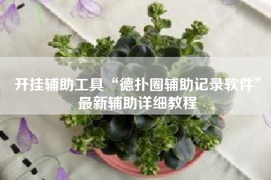 开挂辅助工具“德扑圈辅助记录软件”最新辅助详细教程