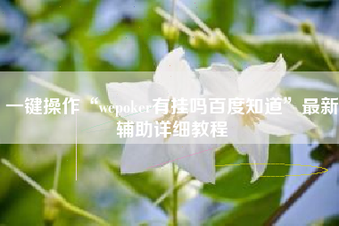 一键操作“wepoker有挂吗百度知道	”最新辅助详细教程