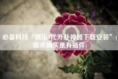 必备科技“微乐3代外卦神器下载安装”(原来确实是有插件)