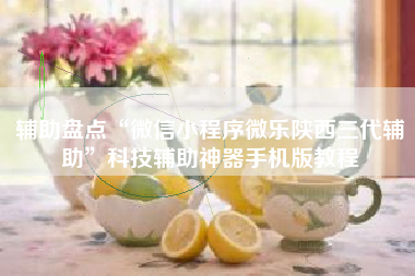 辅助盘点“微信小程序微乐陕西三代辅助	”科技辅助神器手机版教程