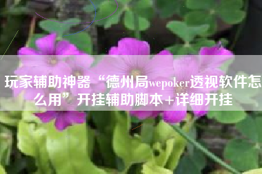 玩家辅助神器“德州局wepoker透视软件怎么用”开挂辅助脚本+详细开挂