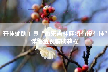 开挂辅助工具“微乐吉林麻将有没有挂”详细透视辅助教程