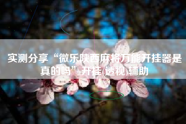 实测分享“微乐陕西麻将万能开挂器是真的吗	”开挂(透视)辅助