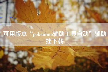 可用版本“pokemmo辅助工具自动	”辅助挂下载