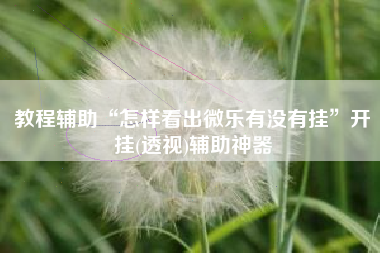 教程辅助“怎样看出微乐有没有挂”开挂(透视)辅助神器