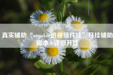 真实辅助“wepoker透视插件挂”开挂辅助脚本+详细开挂