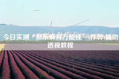 今日实测“微乐麻将万能挂”(作弊)辅助透视教程