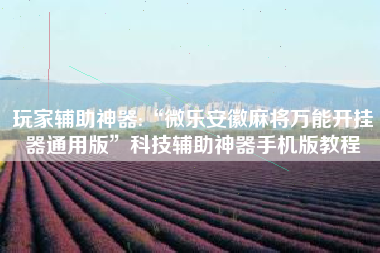 玩家辅助神器:“微乐安徽麻将万能开挂器通用版”科技辅助神器手机版教程