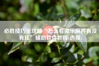 必胜技巧全攻略“怎么看微乐麻将有没有挂”辅助软件教程(透视)