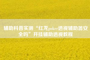 辅助科普实测“红龙poker透视辅助器安全吗”开挂辅助透视教程