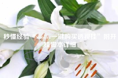 秒懂经验“xpoker一键购买透视挂	”附开挂脚本详细