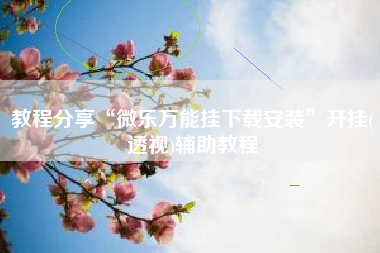 教程分享“微乐万能挂下载安装”开挂(透视)辅助教程