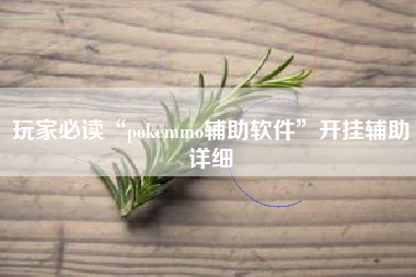 玩家必读“pokemmo辅助软件	”开挂辅助详细