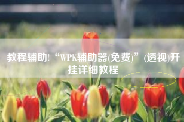 教程辅助!“WPK辅助器(免费)”(透视)开挂详细教程