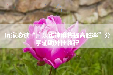 玩家必读“广东雀神麻将提高胜率”分享辅助外挂教程