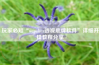 玩家必知“wepoker透视底牌软件”详细开挂教程分享