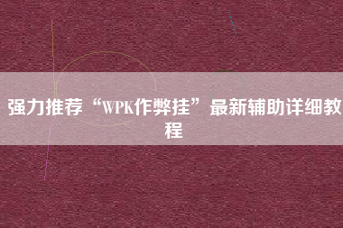 强力推荐“WPK作弊挂”最新辅助详细教程