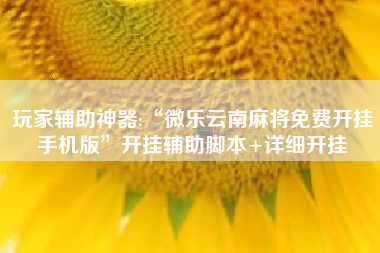 玩家辅助神器:“微乐云南麻将免费开挂手机版”开挂辅助脚本+详细开挂