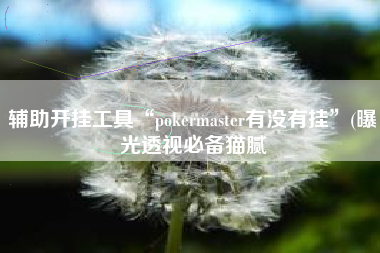 辅助开挂工具“pokermaster有没有挂”(曝光透视必备猫腻
