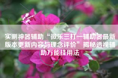 实测神器辅助“微乐三打一辅助器最新版本更新内容与理念评价”揭秘透视辅助万能挂用法