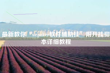 最新教你“wepoker软件辅助挂”附开挂脚本详细教程