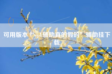 可用版本“wpk辅助真的假的”辅助挂下载