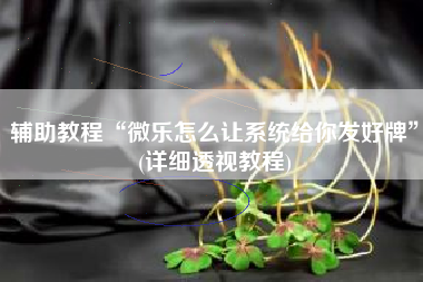 辅助教程“微乐怎么让系统给你发好牌	”(详细透视教程)