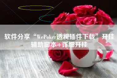 软件分享“WePoker透视插件下载”开挂辅助脚本+详细开挂