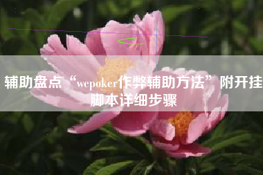 辅助盘点“wepoker作弊辅助方法”附开挂脚本详细步骤