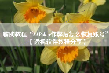 辅助教程“AAPoker作弊后怎么恢复账号”【透视软件教程分享】