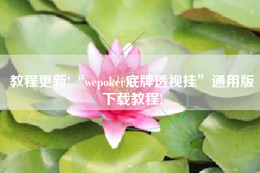 教程更新!“wepoker底牌透视挂”通用版下载教程!